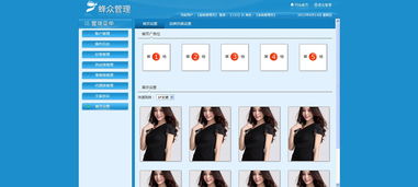 網(wǎng)頁與網(wǎng)站設(shè)計 從創(chuàng)意到體驗的全方位指南