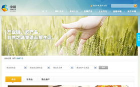 專業網站建設與設計服務 北京鴻睿思博科技的全面解決方案